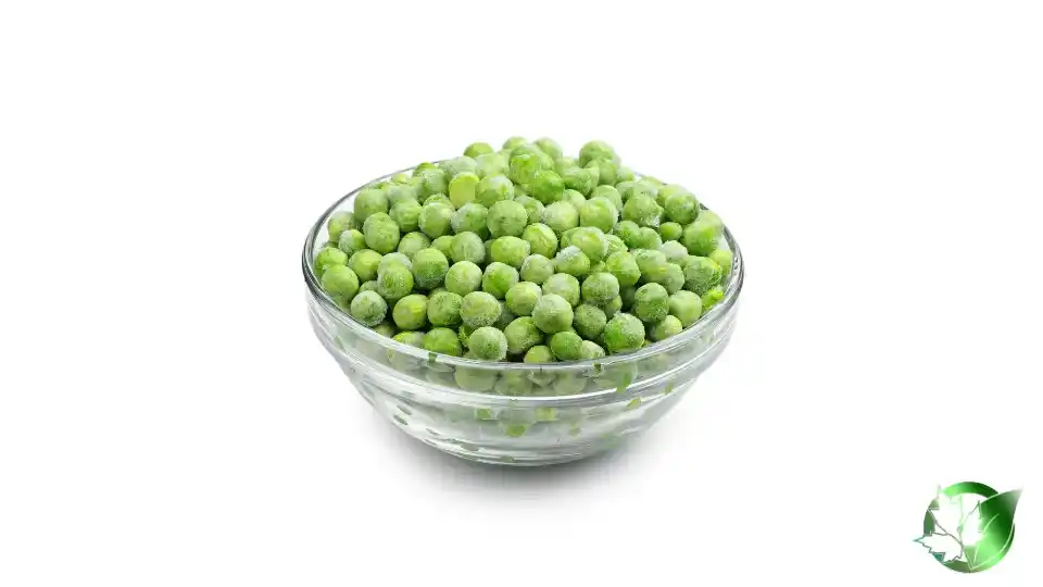 Bulk Frozen Green Peas | Suppliers | Wholesale | ParsaFood Global